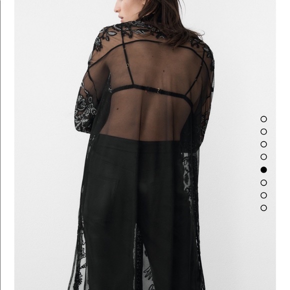 🖤 ZARA BOHO MESH EMBROIDERED CROCHET COLLARED SHEER MAXI DRESS/COVERUP! - Picture 15 of 16